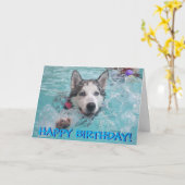 スイミングハスキーの誕生日カード カード (黄色い花)