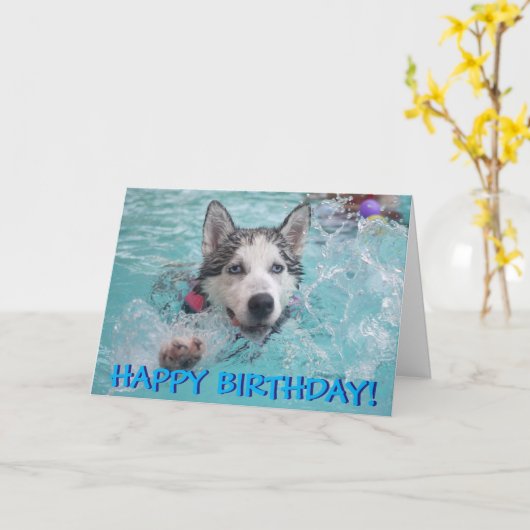 スイミングハスキーの誕生日カード カード (黄色い花)