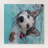 スイミングハスキー ジグソーパズル (横)