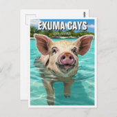 スイミングピグエクスマケイズバハマトラベル ポストカード (正面/裏面)