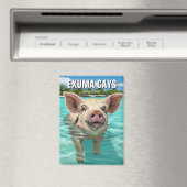 スイミングピグエクスマケイズバハマトラベル マグネット (インサイチュ (食洗機))