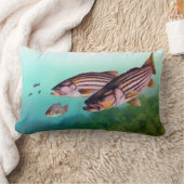 スイミングフィッシュバストライプのス ランバークッション (ブランケット)