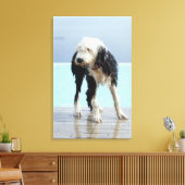 スイミングプールで濡れた犬 キャンバスプリント (インサイチュ (リビング))