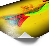 スイミングマーメイドの写真プリント フォトプリント            (角)