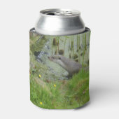 スイミングヨーロッパオッタクーラーボックス 缶クーラー (缶正面)