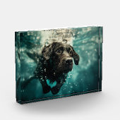 スイミングラブラドール子犬の水中デザイン フォトブロック (左)