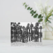 スイミングレッスン ポストカード (スタンド正面)