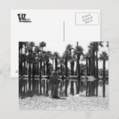 スイミングレッスン ポストカード (正面/裏面)