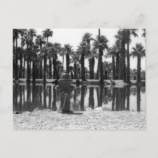 スイミングレッスン ポストカード (正面)