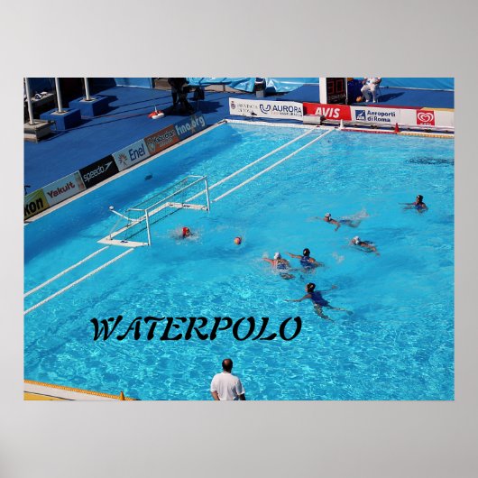 スイミングワールドチャンピオンシップローマ2009 ポスター (正面)