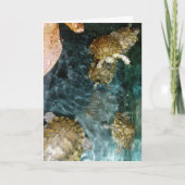 「スイミング・タートルズ」誕生日カード カード (正面)