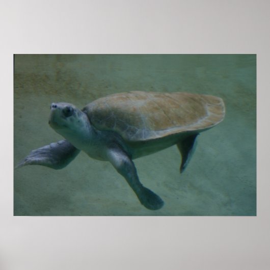 スイミン ポスター (正面)