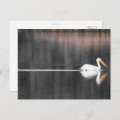 スイムミン ポストカード (正面/裏面)