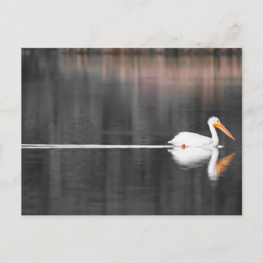 スイムミン ポストカード (正面)