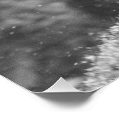 スイユキヒョウ ポスター (コーナー)