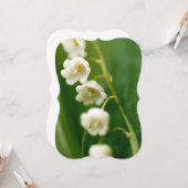 スイラン（Convallaria majalis） カード (正面/裏面インサイチュ)