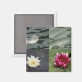 スイリかわいらしー マグネット (正面/裏面)