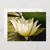 スイリカード ポストカード (正面/裏面)