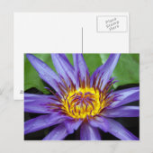 スイリカード ポストカード (正面/裏面)