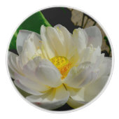 スイリノブ セラミックノブ (正面)