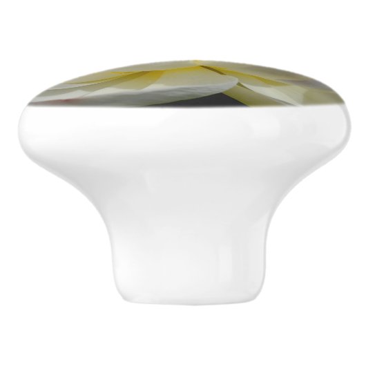 スイリノブ セラミックノブ (側面)