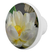 スイリノブ セラミックノブ (右)