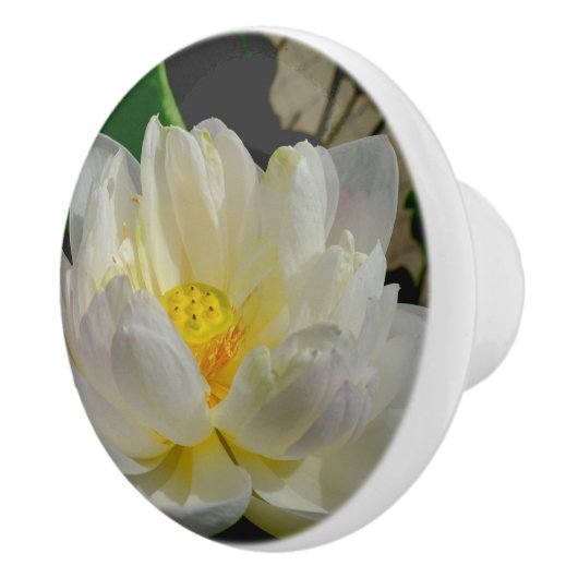 スイリノブ セラミックノブ (右)