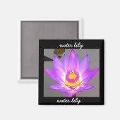 スイリパープル縁ど-  マグネット (正面/裏面)