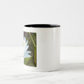 スイリー ツートーンマグカップ (中央)