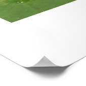 スイリー ポスター (角)