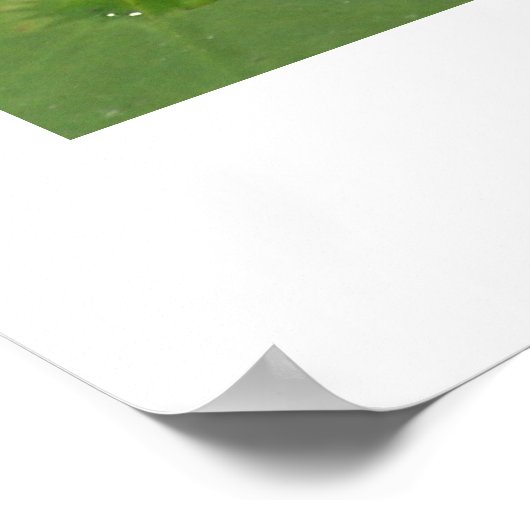 スイリー ポスター (角)