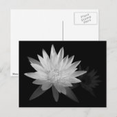 スイリー ポストカード (正面/裏面)