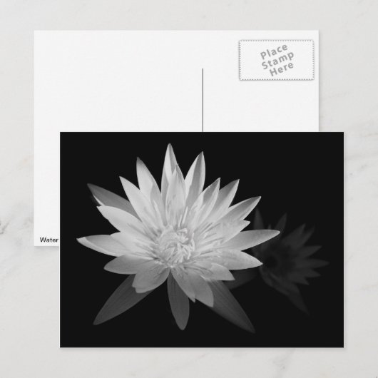 スイリー ポストカード (正面/裏面)