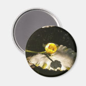 スイリー マグネット (正面/裏面)