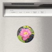 スイリ磁石 マグネット (インサイチュ (食洗機))