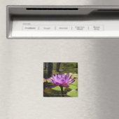 スイリ磁石 マグネット (インサイチュ (食洗機))