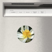 スイリ磁石 マグネット (インサイチュ (食洗機))