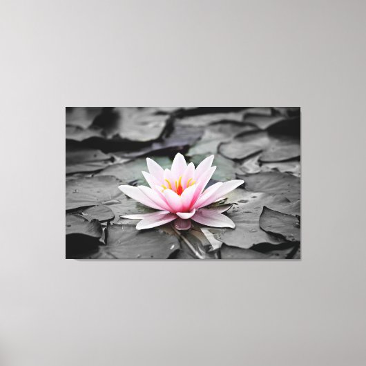 スイレンで包んだキャンバス キャンバスプリント (正面)