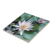 スイレンのタイル タイル (側面)