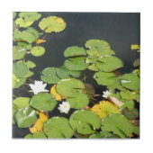 スイレンのタイル タイル (正面)