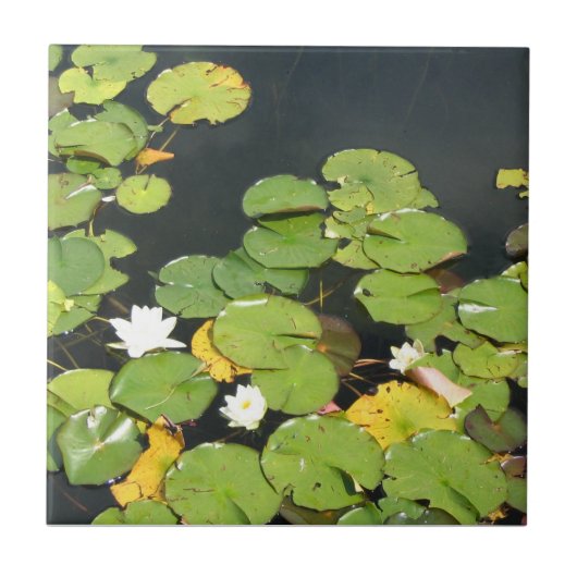 スイレンのタイル タイル (正面)
