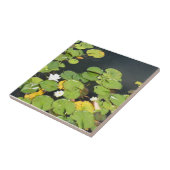 スイレンのタイル タイル (側面)