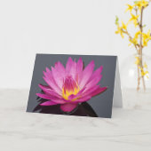 スイレンのバースデー・カード カード (黄色い花)