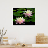 スイレンのペア ポスター (キッチン)