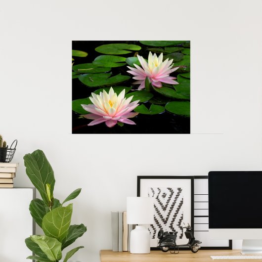 スイレンのペア ポスター (ホームオフィス)