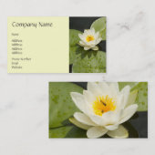 スイレンの浮いている葉および白蓮教の花 名刺 (正面/裏面)
