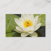 スイレンの浮いている葉および白蓮教の花 名刺 (裏面)