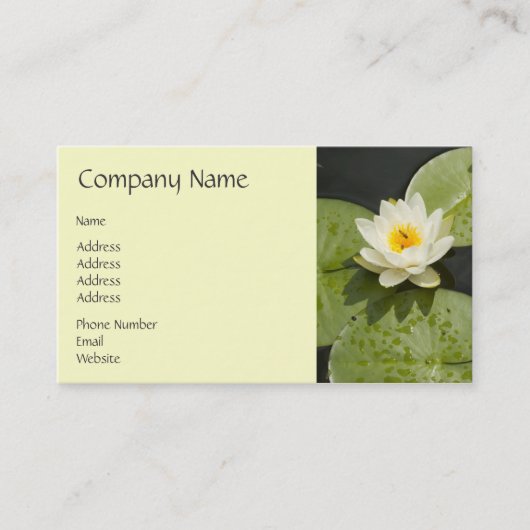 スイレンの浮いている葉および白蓮教の花 名刺 (正面)