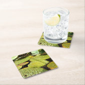 スイレンの浮いている葉のペーパーコースター スクエアペーパーコースター (インサイチュ)