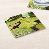 スイレンの浮いている葉のペーパーコースター スクエアペーパーコースター (アングル)